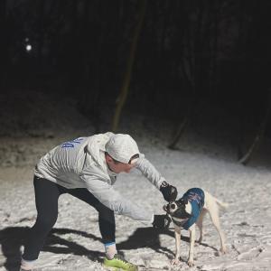 Skvirtolog