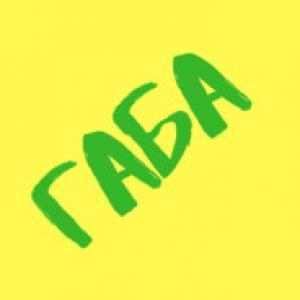 gaba91